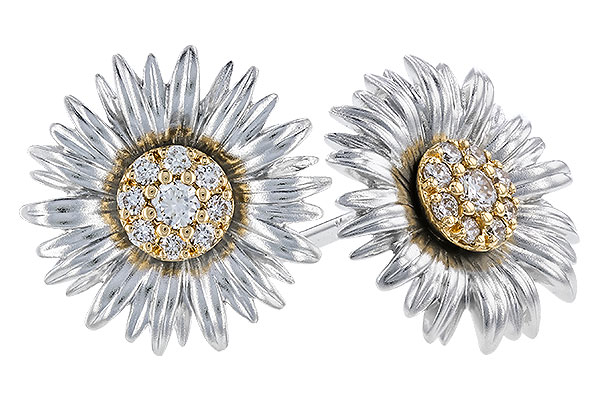 B328-48693: EARRINGS .14 TW