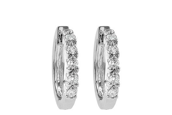 C240-30466: EARRINGS .25 TW