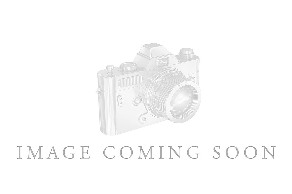 E330-28656: LDS SEMI RG .61 TW RUBY .87 TGW