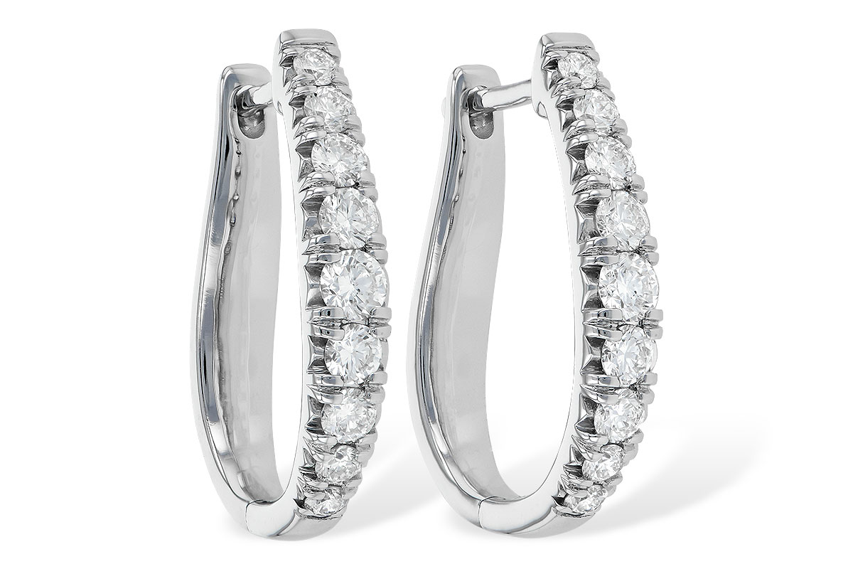 F244-85065: EARR 1.00 TW