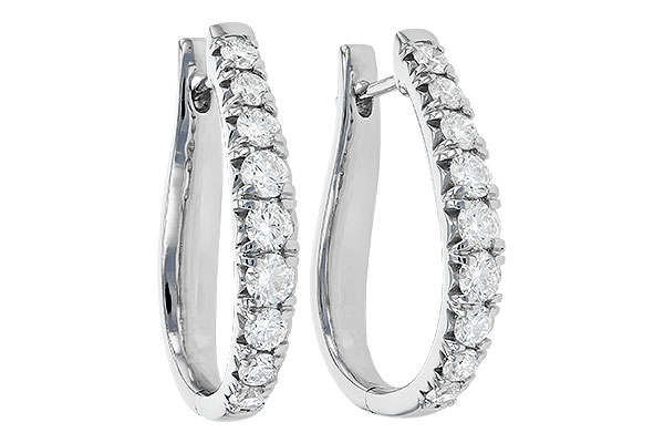 F244-86865: EARR 2.00 TW