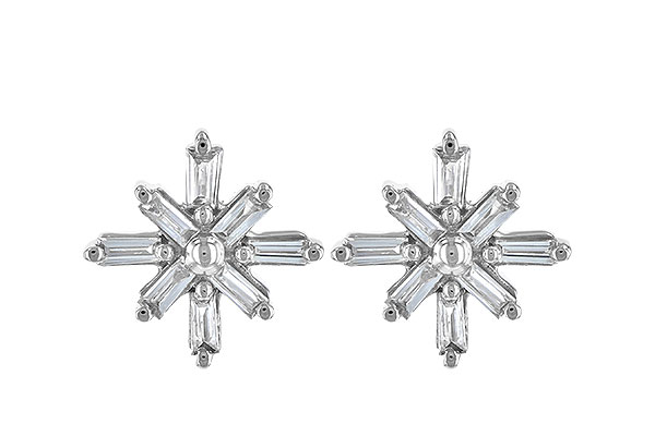 H244-86820: EARR .22 TW BAGUETTES
